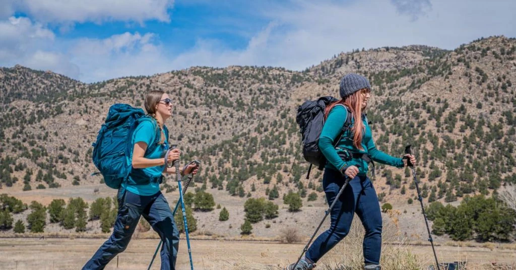 Daypacks Elegant Boutique -Daypacks Elegant Boutique 3